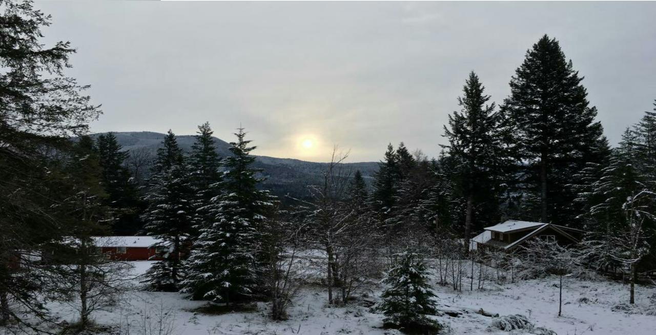 Packwood Ski & Vacation Getaway Екстер'єр фото